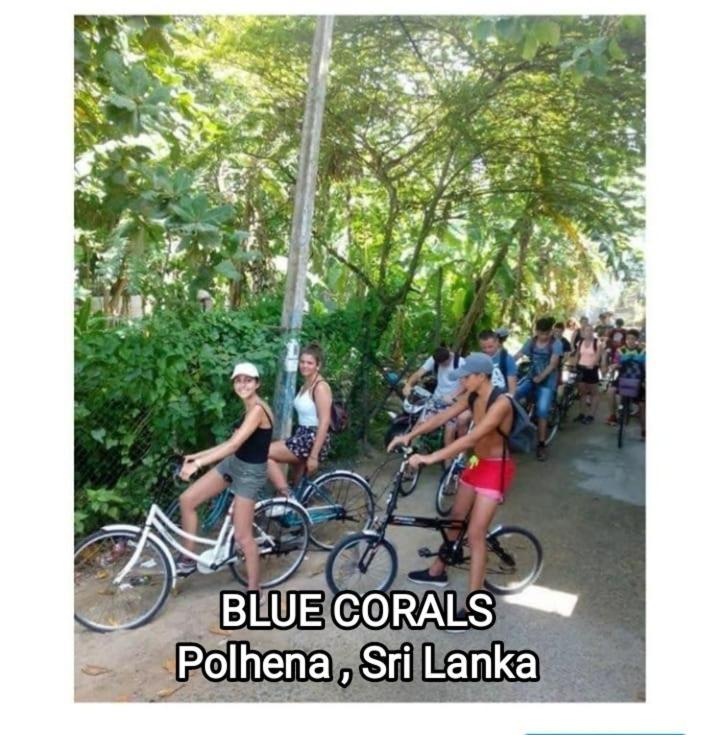 Blue Corals Beach Bungalow Matara Exteriér fotografie