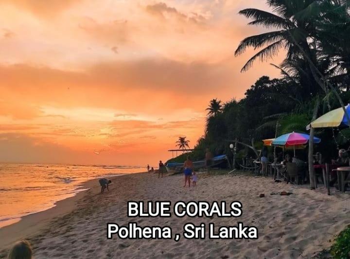 Blue Corals Beach Bungalow Matara Exteriér fotografie