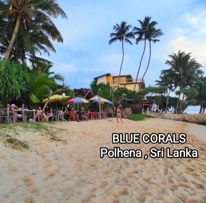 Blue Corals Beach Bungalow Matara Exteriér fotografie