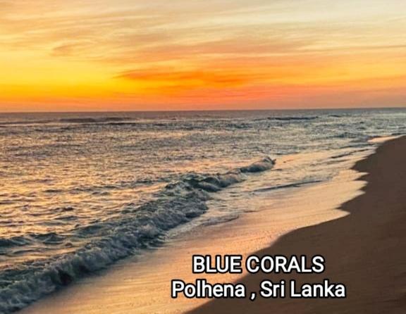 Blue Corals Beach Bungalow Matara Exteriér fotografie