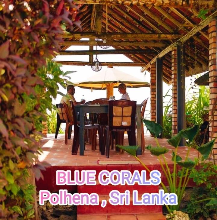 Blue Corals Beach Bungalow Matara Exteriér fotografie