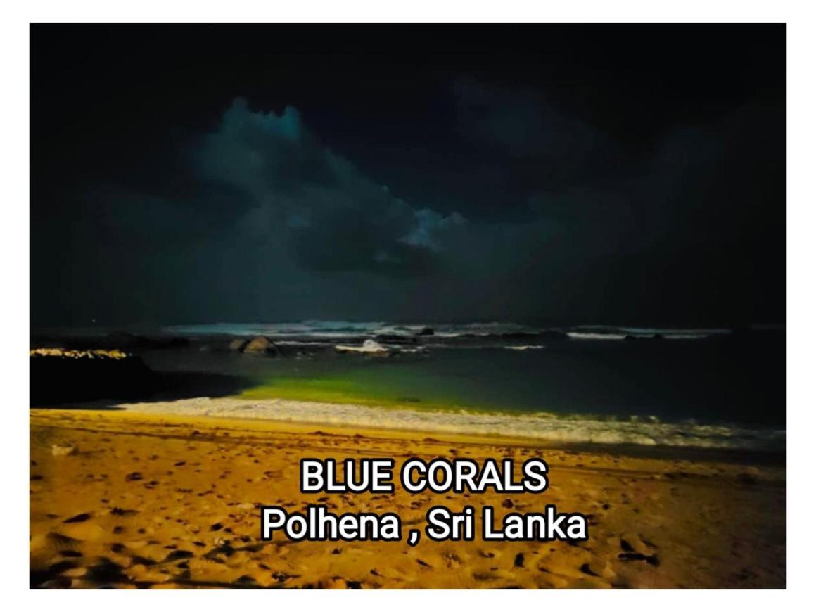 Blue Corals Beach Bungalow Matara Exteriér fotografie