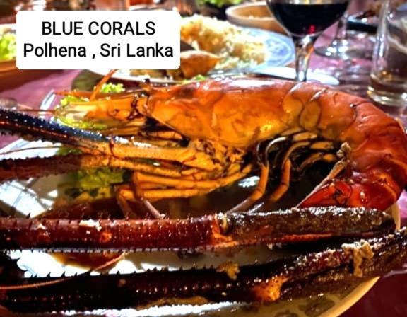 Blue Corals Beach Bungalow Matara Exteriér fotografie