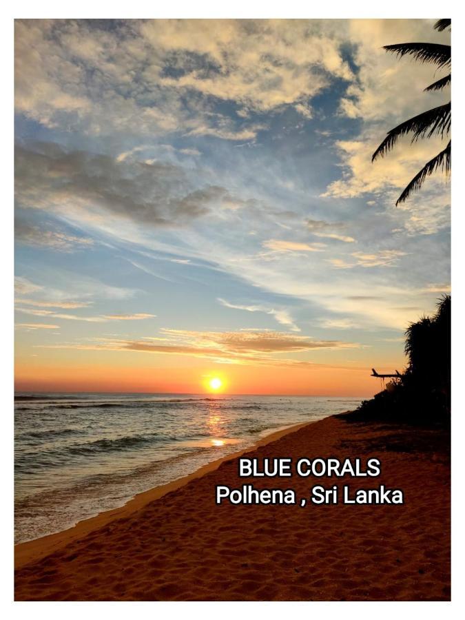 Blue Corals Beach Bungalow Matara Exteriér fotografie