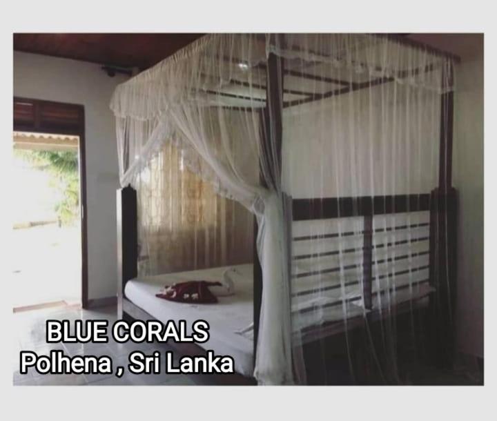 Blue Corals Beach Bungalow Matara Exteriér fotografie
