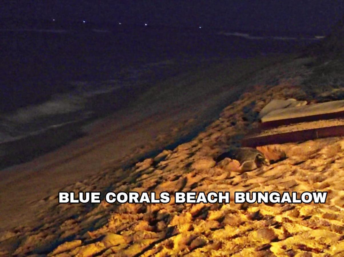 Blue Corals Beach Bungalow Matara Exteriér fotografie